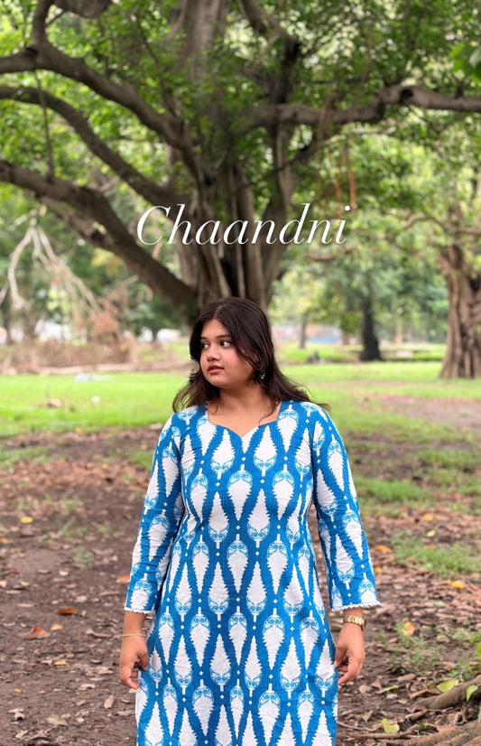 Chandni- Long Corset Kurti
